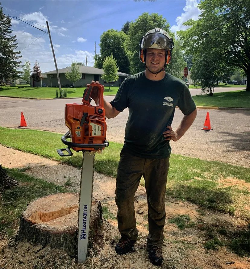 Wellner Arboriculture tree service project