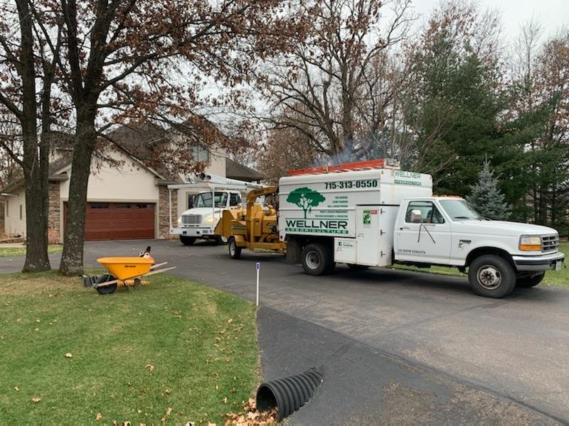 Wellner Arboriculture tree service project