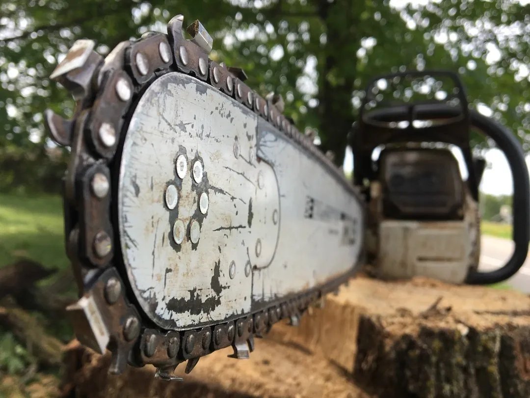 Wellner Arboriculture tree service project